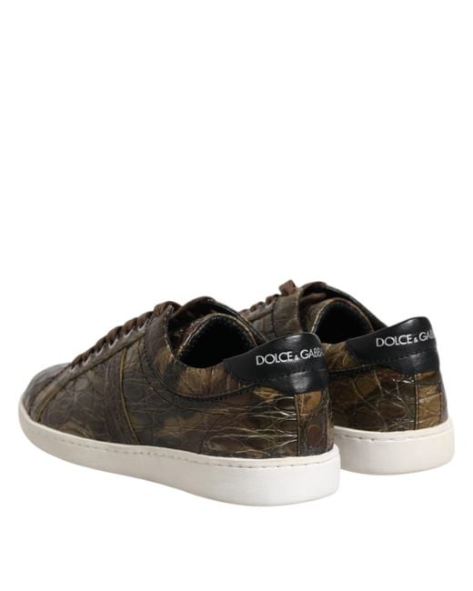 Dolce & Gabbana Brown Exotic Leather Low Top Sneakers Shoes for men