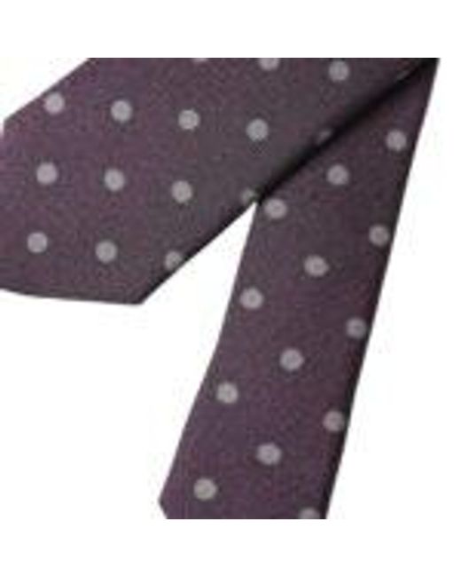 Dolce & Gabbana Purple Polka Dot Tie Classic Style for men