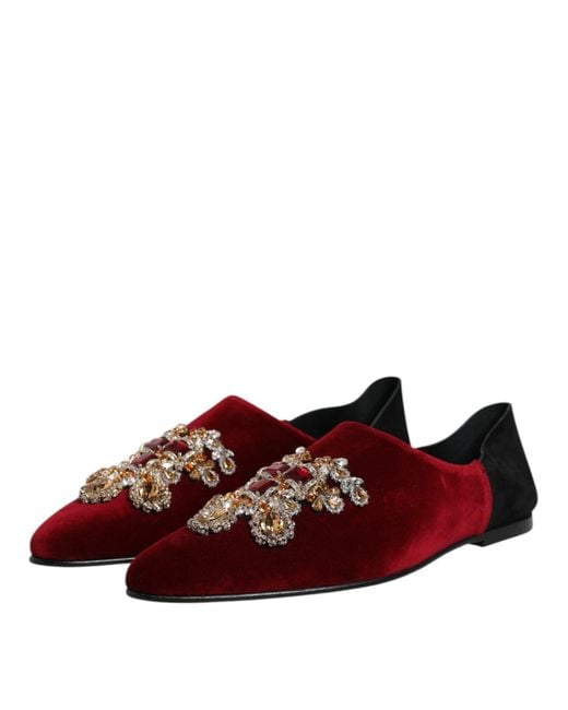 Dolce & Gabbana Brown Black Red Velvet Embellished Slip On Shoes for men