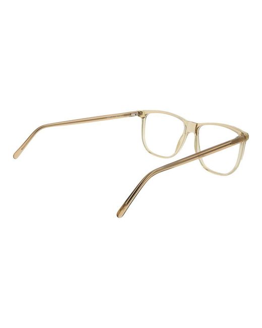 Andy Wolf Metallic Beige Acetate Glasses (frames)