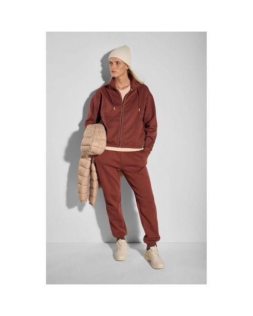 Champion Red Burgundy Polyester Sweatshirt