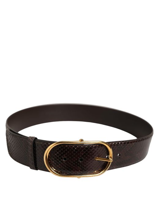 Dolce & Gabbana Black Brown Python Leather Gold Metal Buckle Belt