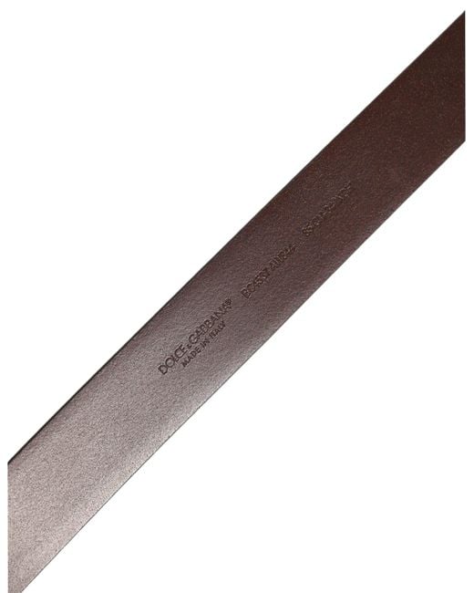 Dolce & Gabbana Brown Calfskin Leather Gold Metal Buckle Belt