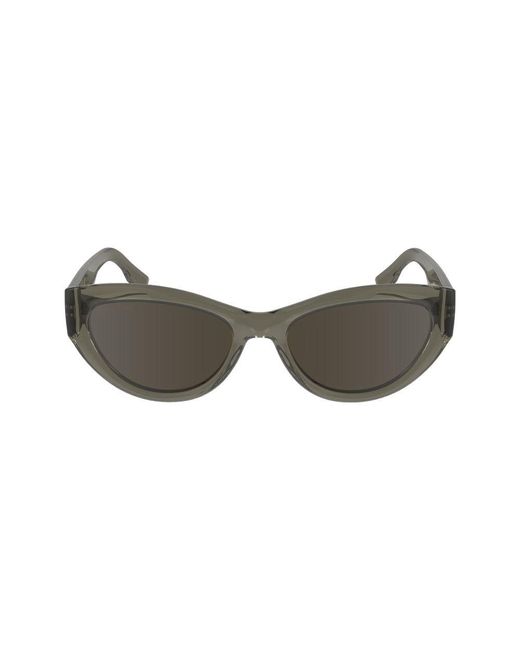 Lacoste Brown Injected Sunglasses