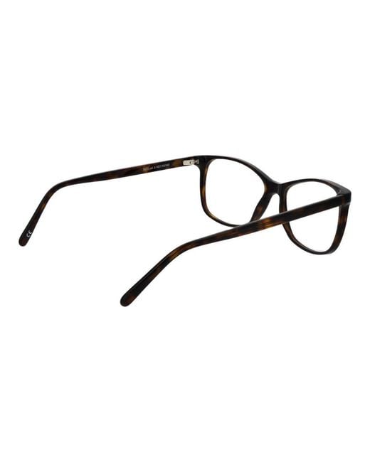 Andy Wolf Black Brown Acetate Glasses (frames)