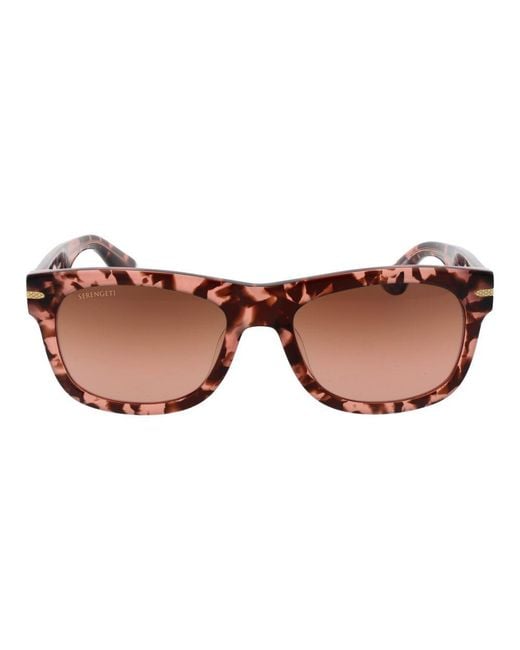 Serengeti Brown Multicolor Plastic Sunglasses