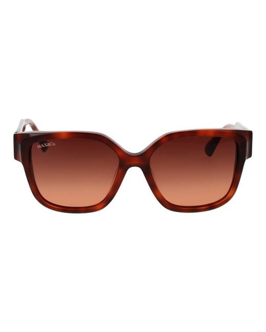 MAX&Co. Brown Plastic Sunglasses