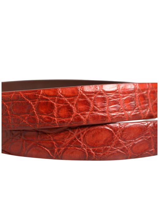 Dolce & Gabbana Red Leather Gold Tone Metal Buckle Men Belt for men
