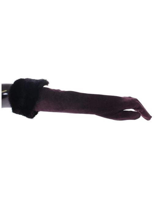Dolce & Gabbana Multicolor Elegant Elbow Length Fur Gloves