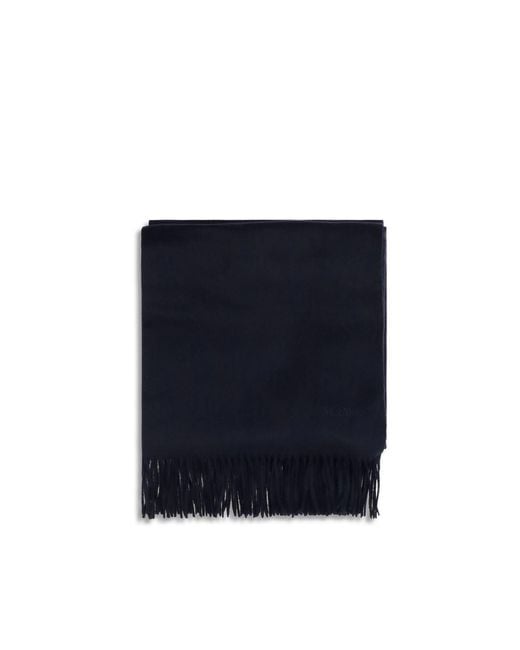 Max Mara Blue Cashmere Scarf