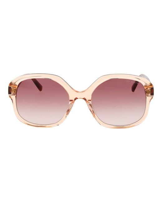 Ted Baker Pink Acetate Sunglasses