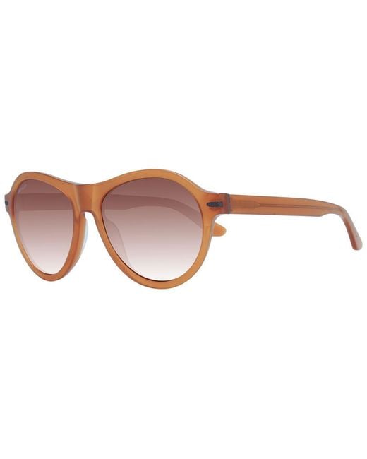 Serengeti Brown Men Sunglasses for men