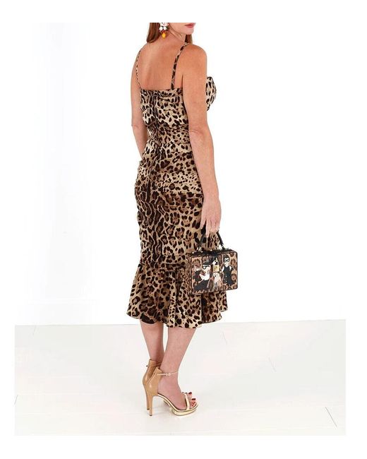 Dolce & Gabbana Brown Stretch Leopard Print Midi Dress
