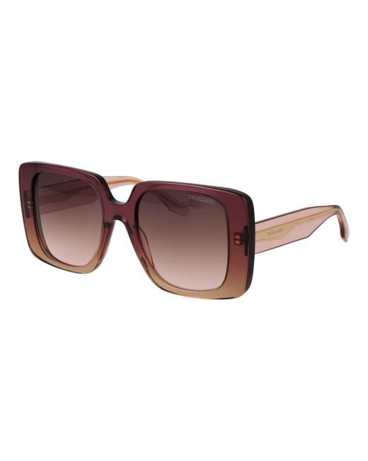 Trussardi Brown Pink Acetate Sunglasses