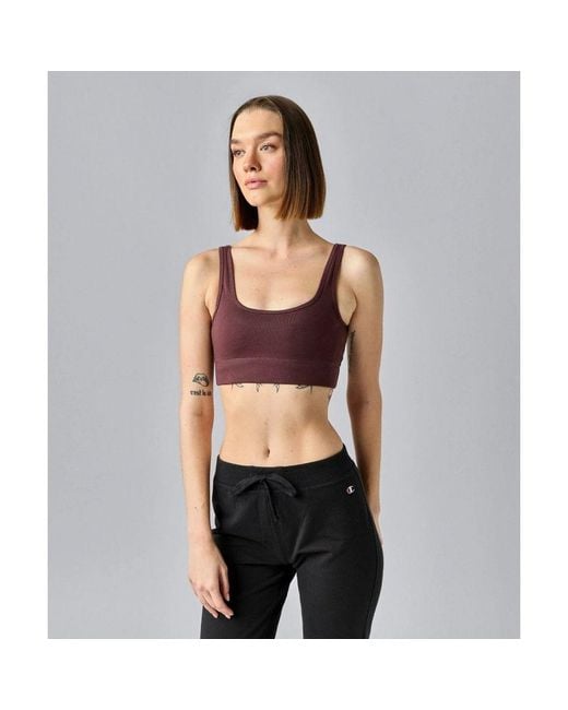 Champion Multicolor Brown Cotton Bra