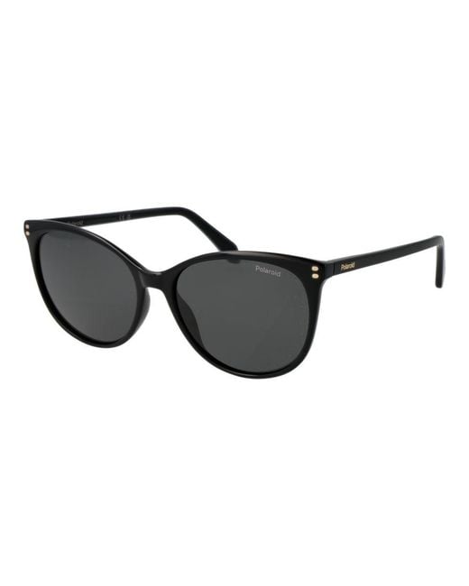 Polaroid Black Acetate Sunglasses