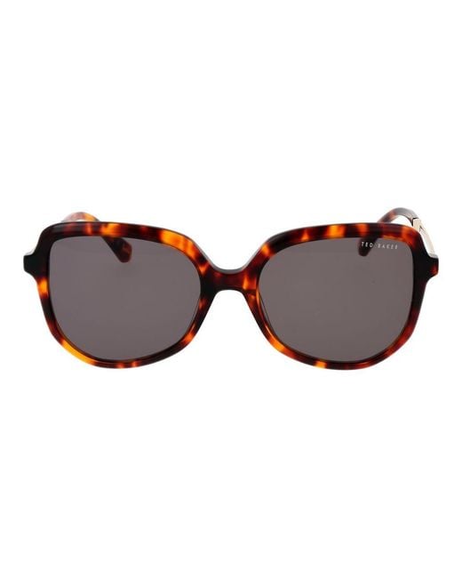 Ted Baker Brown Acetate Sunglasses for men