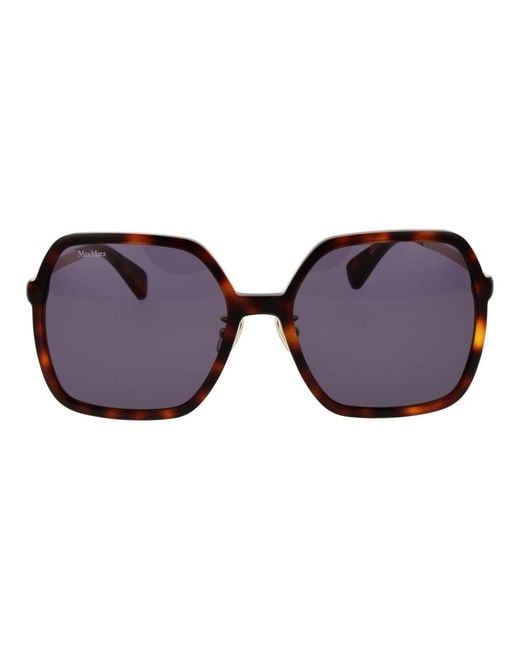 Max Mara Purple Brown Acetate Sunglasses