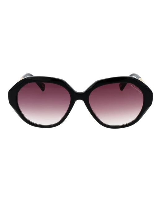 Ted Baker Multicolor Black Sunglasses