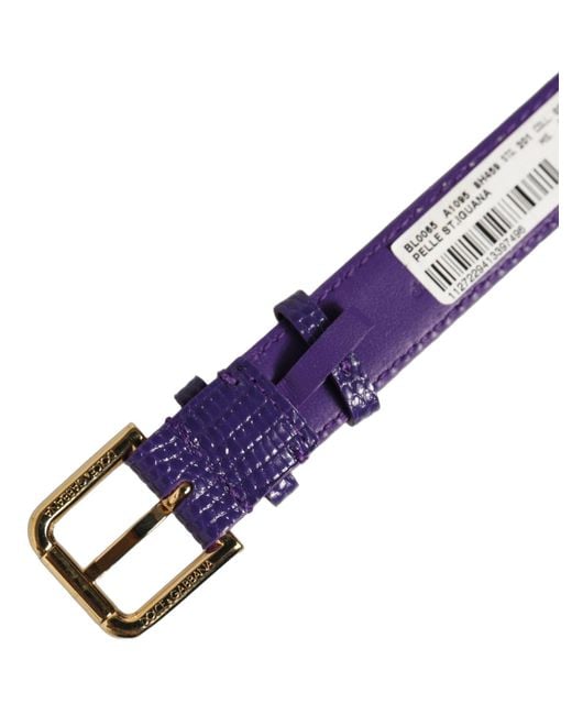 Dolce & Gabbana Purple Violet Textured Leather Gold Buckle Belt Strap Bracelet