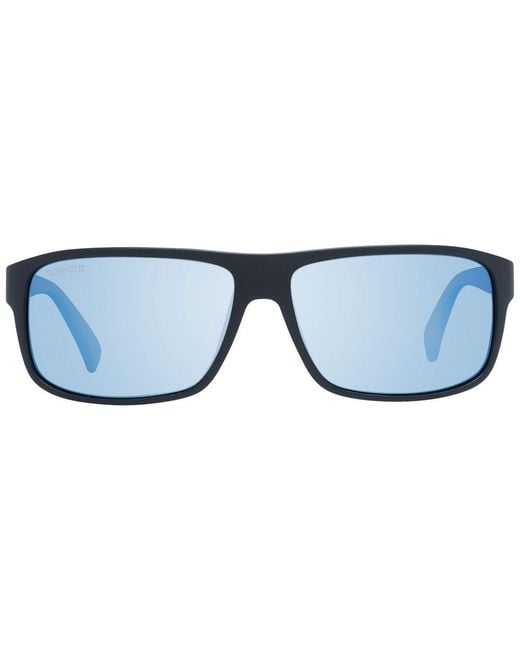 Serengeti Blue Sunglasses
