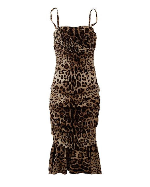 Dolce & Gabbana Brown Stretch Leopard Print Midi Dress