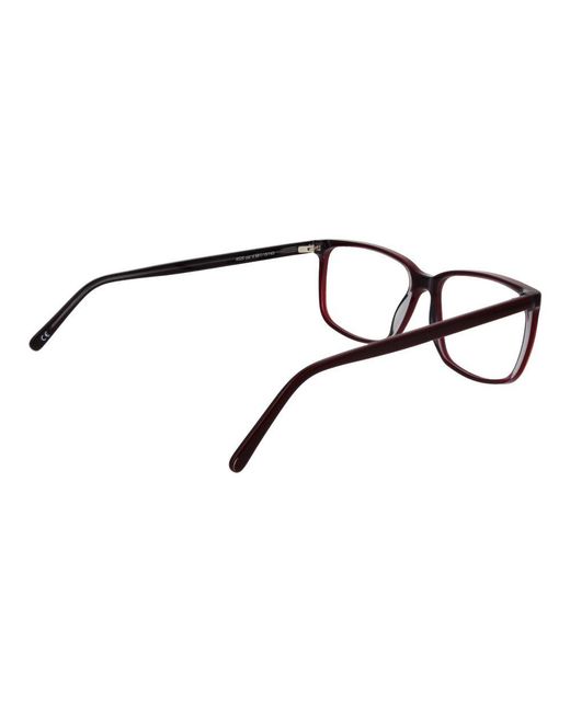 Andy Wolf Brown Burgundy Acetate Glasses (frames)