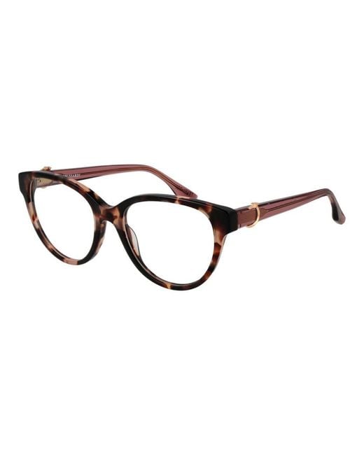 Trussardi Brown Acetate Glasses (Frames)