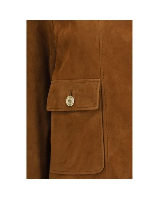 Saint Laurent Brown Lamb Ovis Aries Aries Full