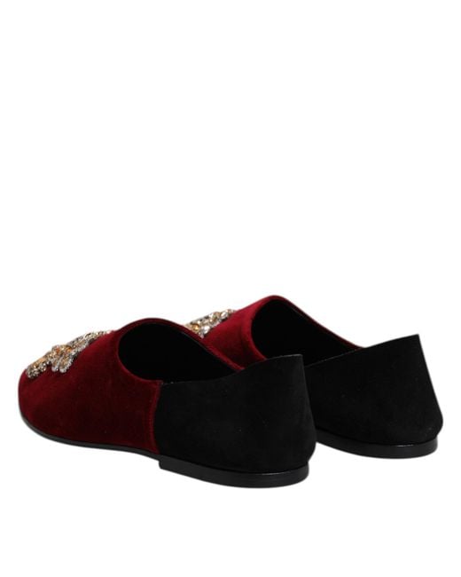 Dolce & Gabbana Brown Black Red Velvet Embellished Slip On Shoes for men