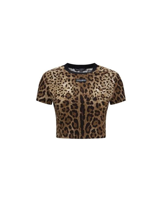Dolce & Gabbana Brown Beige Cotton T