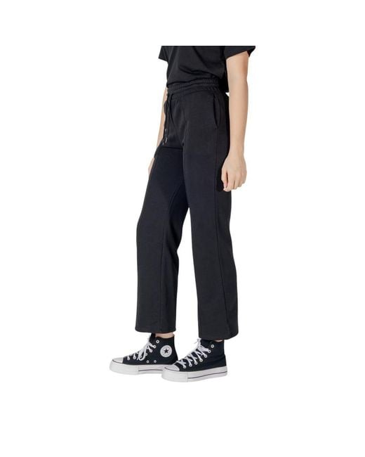 Converse Blue Black Cotton Jeans & Pant