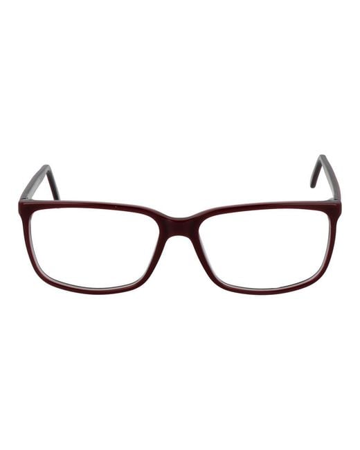 Andy Wolf Brown Burgundy Acetate Glasses (frames)