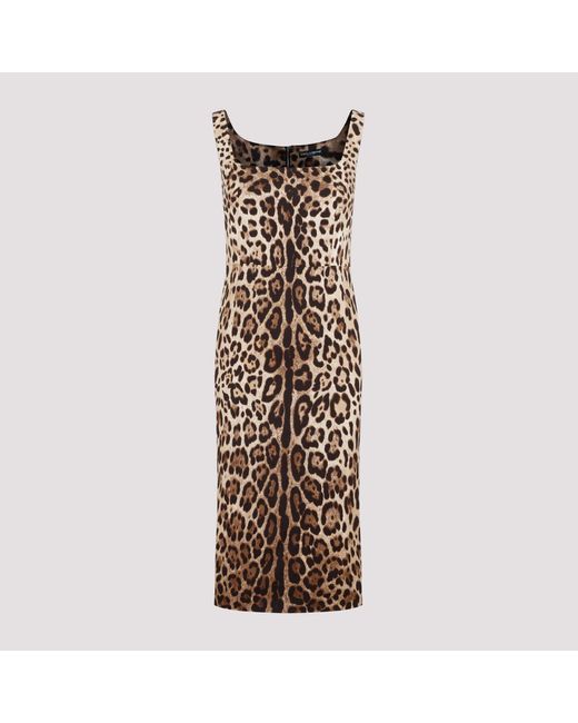 Dolce & Gabbana Brown Leopard Print Dress