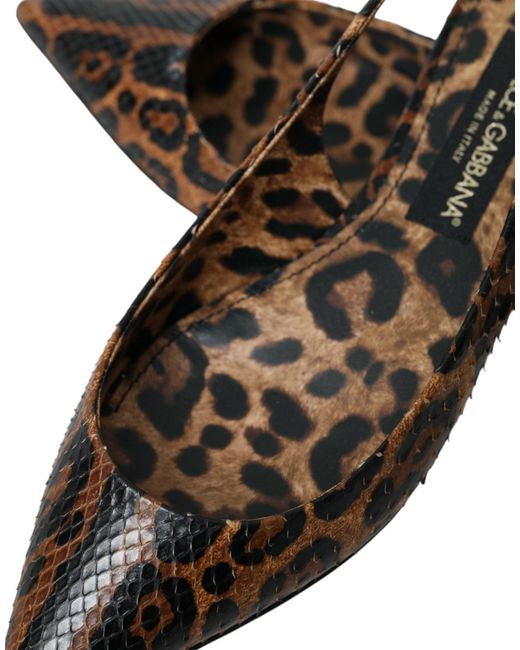 Dolce & Gabbana Brown Leopard Exotic Skin Slingback Shoes