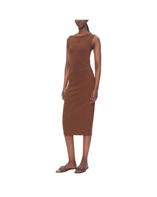 Calvin Klein Brown Cotton Long Dress