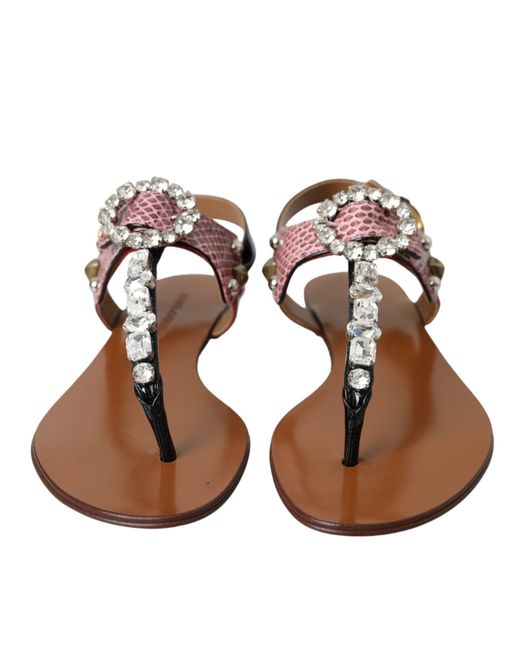 Dolce & Gabbana Brown Flat Sandals