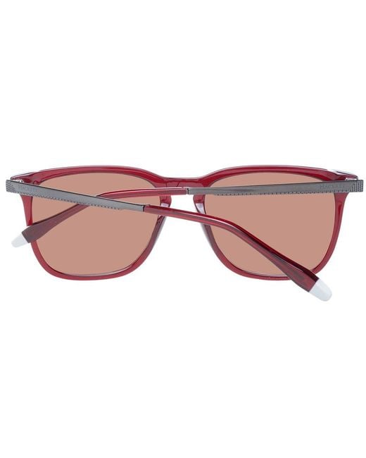 Hackett Brown Redsunglasses for men