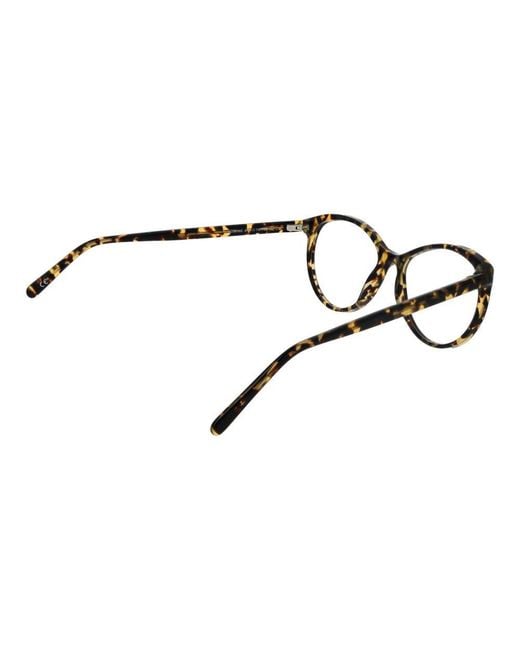 Andy Wolf Brown Bicolor Acetate Glasses (frames)