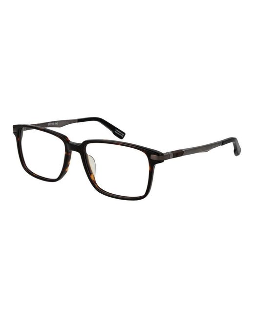 Spy Black Brown Plastic Glasses (frames) for men
