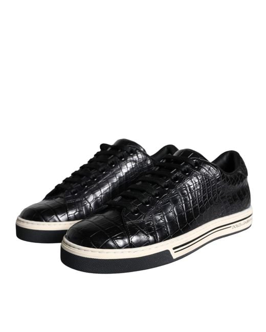 Dolce & Gabbana Black Rome Sneakers In Crocodile Leather for men