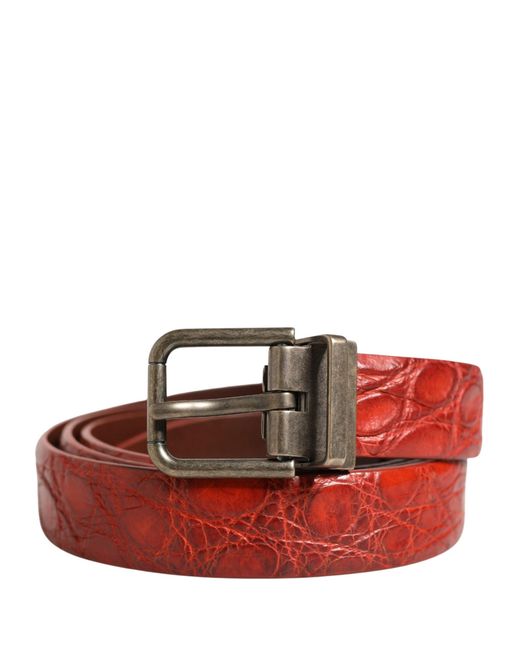 Dolce & Gabbana Red Leather Gold Tone Metal Buckle Men Belt for men