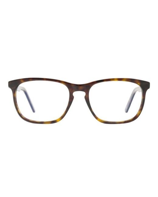Andy Wolf Brown Acetate Glasses (frames) for men