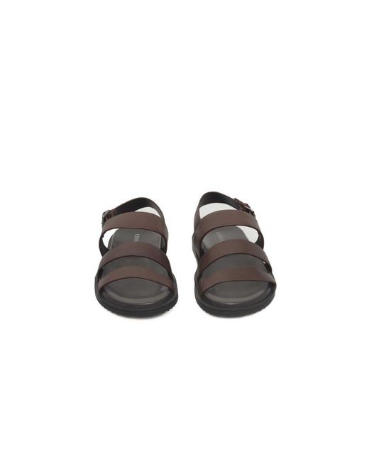 Cerruti 1881 Brown Cowhide Men Sandal for men