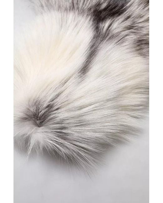 Dolce & Gabbana Gray Fox Fur Neck Wrap Warmer Winter Scarf