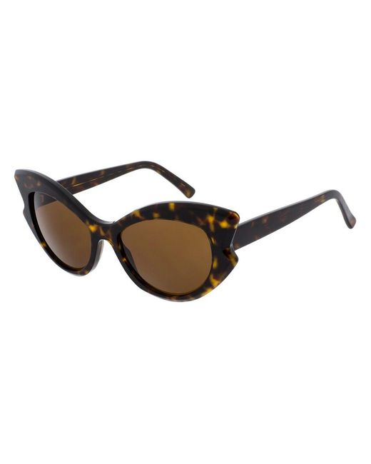 Andy Wolf Brown Acetate Sunglasses