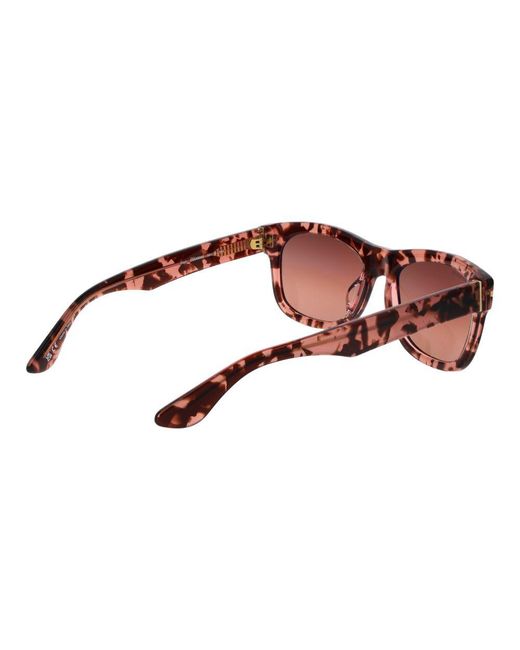 Serengeti Brown Multicolor Plastic Sunglasses