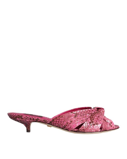 Dolce Gabbana Pink Python Leather Kitten Heels Slides Shoes Lyst