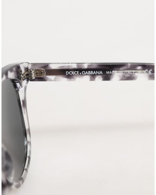 Dolce & Gabbana Gray Dg4254 Havana Clear Tinted Lenses Sunglasses