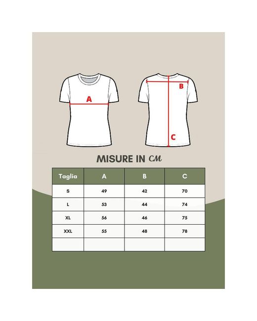 Lardini Gray Wool T-Shirt for men